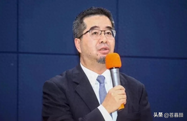 郑丽文又有大动作，当着日媒的面、直接说出心里话，绿营瞬间炸锅