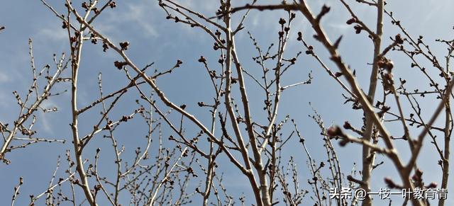 风神山，给我吃了一个闭门羹