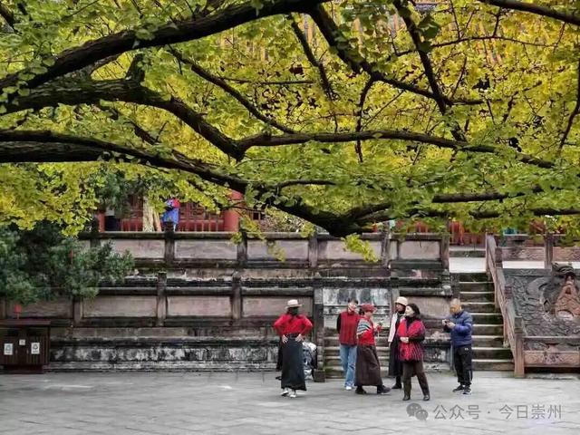 开始刷屏！🤩🤩 崇州罨画池迎来颜值巅峰