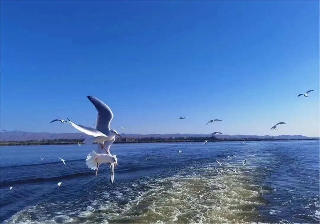 把2026的假期，留给巴彦淖尔的山水