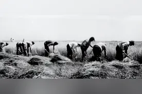 中国最后一位返城知青，滞留北大荒四十多年，2009年才得以回城图片