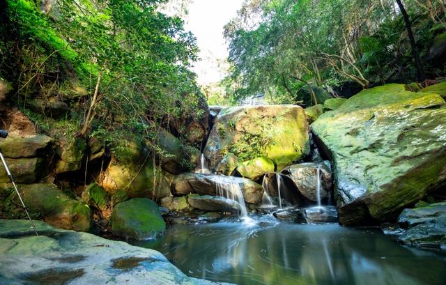广州有个依山而建的公园，适合夏天徒步乘凉，坐地铁直达
