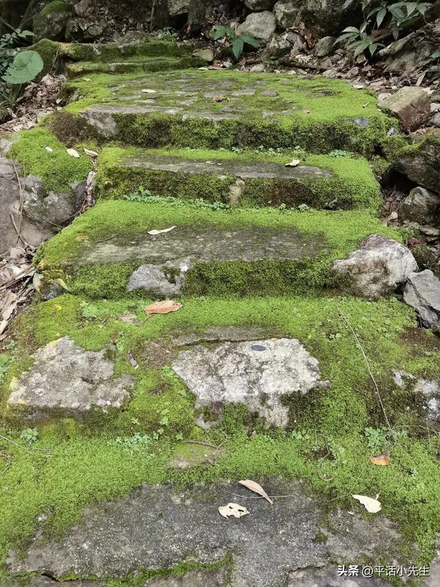 小沧畲乡，藏在福州角落的秘境