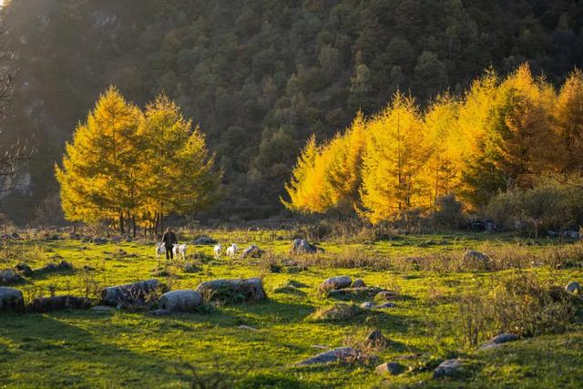 留坝推出24项主题文旅活动 共醉秦岭红叶