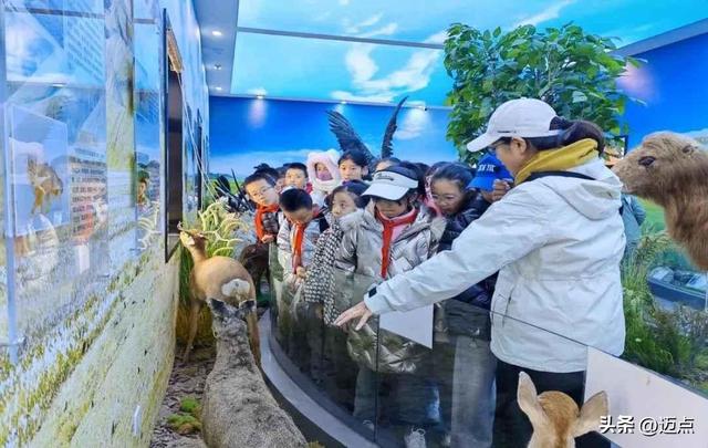 一场研学激活一方文旅？