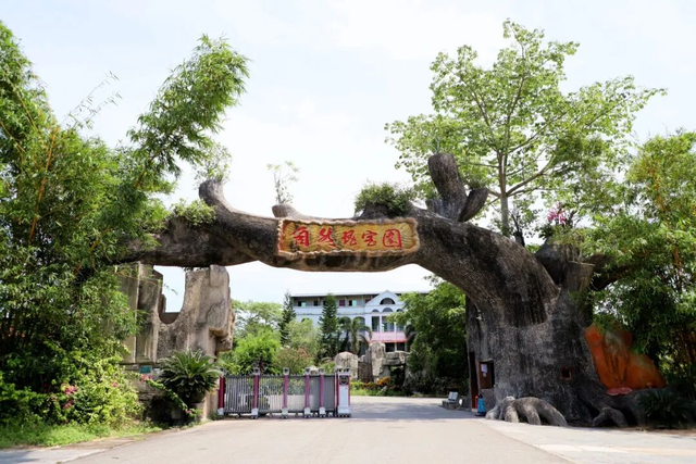 吃什么？玩什么？嗨什么？来东方“三月三”直接抄作业！