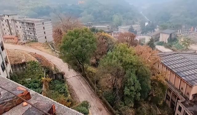 宜昌被遗忘的三线厂旧址，规模宏大保存完好，无人居住杂草丛生