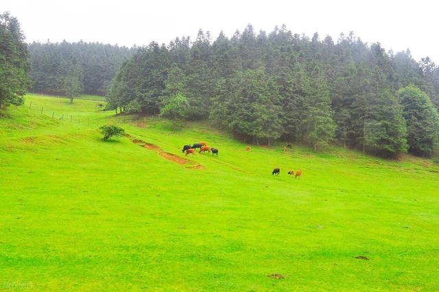 别带娃去游乐场挤了！清明这3个宝藏地：孩子玩疯了，作文也有了