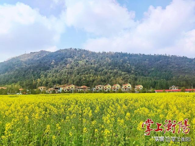 我为峰途丨金华山：秋登金华满山翠，俯瞰田园稻浪飞