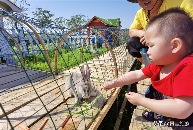 五一假期去哪儿？佛山紫南首届农耕文化节邀您共赴田园之约