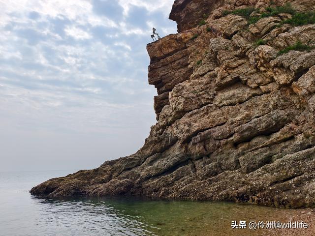 大连海之韵公园·棒槌岛