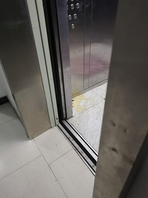 黄河滩到渔港边：夏末山东行的烟火与故事