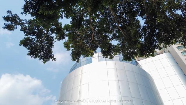 深圳这条街,曾经挤破头都难进入,现在扫码就进却为何没人去了?