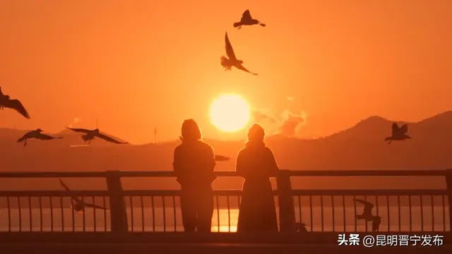 寻找旅居晋宁的密码