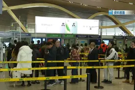 预售开始！“春节机票越早买越便宜”？这样买更划算图片