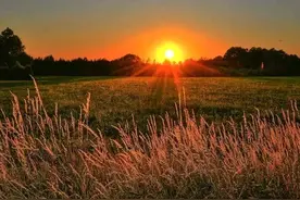 16岁参加工作，不一定就是违规！图片