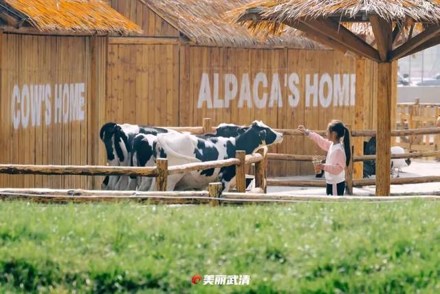 清明小长假，去武清“撒野”！