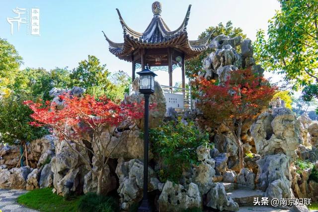 人在南京，红叶正盛，等你来～