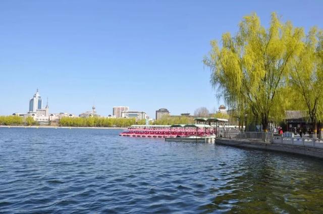 清明赴春约，丰台这几个点位别错过——