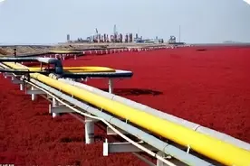 红海滩上的油田——辽河油田图片