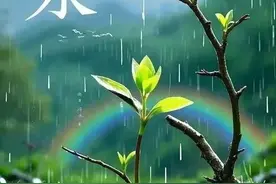 【雨水到 农事忙】太原市阳曲县：县农业农村局农事提醒图片