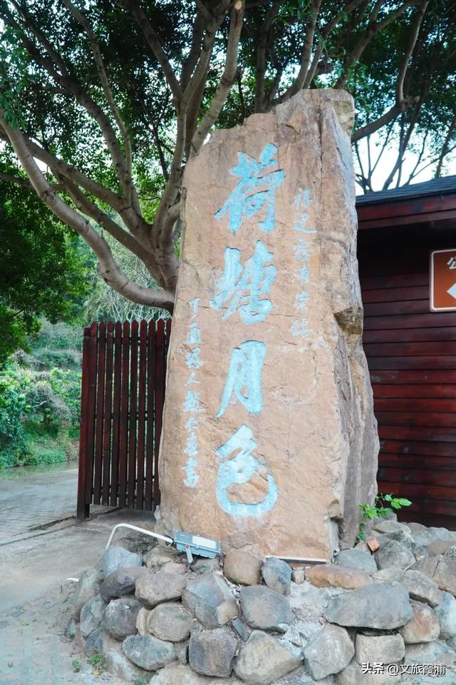 每日一村：霞坪村——荷香漫谷的畲乡秘境，诗画交织的夏日桃源