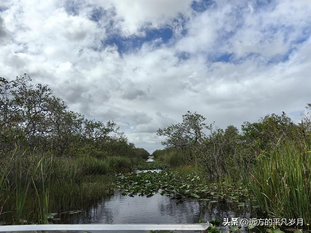 大沼泽地美国国家公园（迈阿密游记三）