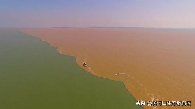 【黄河口生态旅游区】当马拉松遇上黄河口秋日：看候鸟、赏湿地，送福利啦！