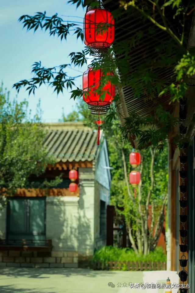 免费!秦皇岛这个特色小镇开园啦,美似江南,夜景迷人!