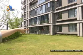 她和猫在晒太阳，两只“法斗”冲过来？图片