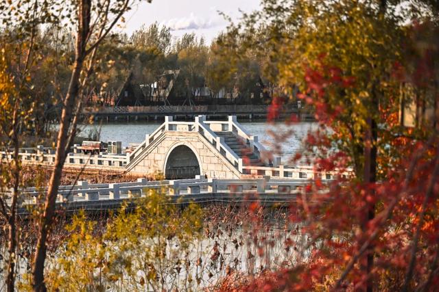 吉视界 | 北湖秋日限定 “颜值” 上线