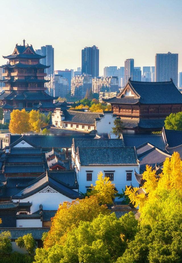 武汉546岁银杏古树换装，汉阳瞬间变秋日梦境 这条线路值得走一遭