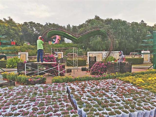 【为龙江旅游代言】东北最大金秋菊花展！不能错过！