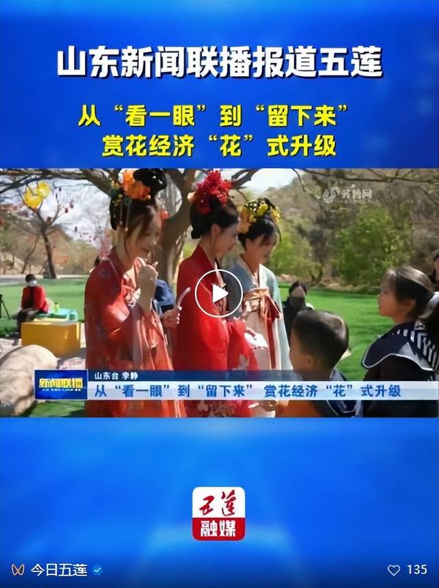 藏不住啦！五莲“兰槿”花火爆全网！