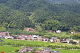 不管有没有钱，只要家中出现了这“三种小动物”，家庭越来越富贵图片