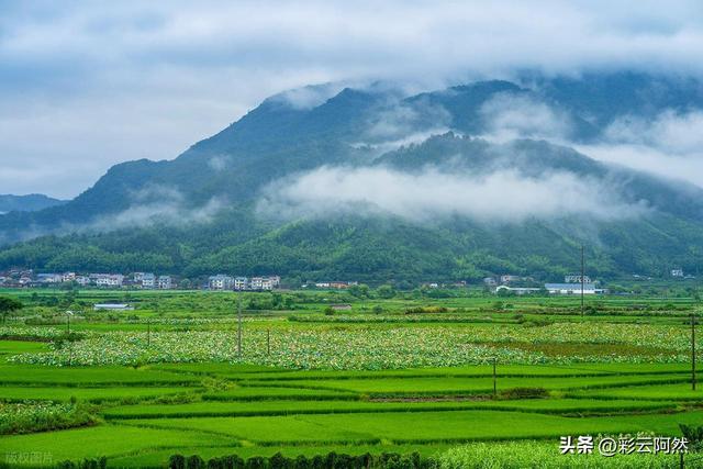 今夏最热两天登场！新一轮降水范围已确定，明后天7月16~17号天气
