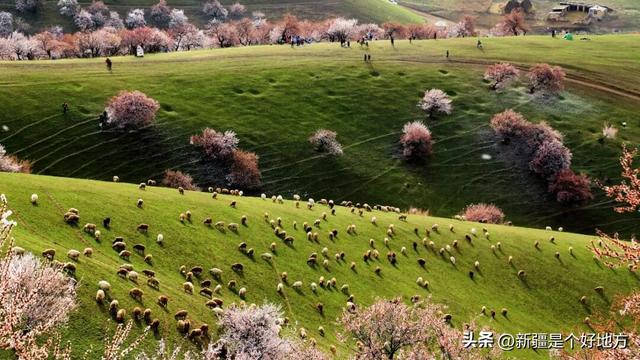 久等了！新疆这些景区景点恢复开放