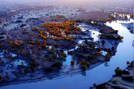 中国面积最大的镇，面积相当于8个上海，养活了亿万国人！图片