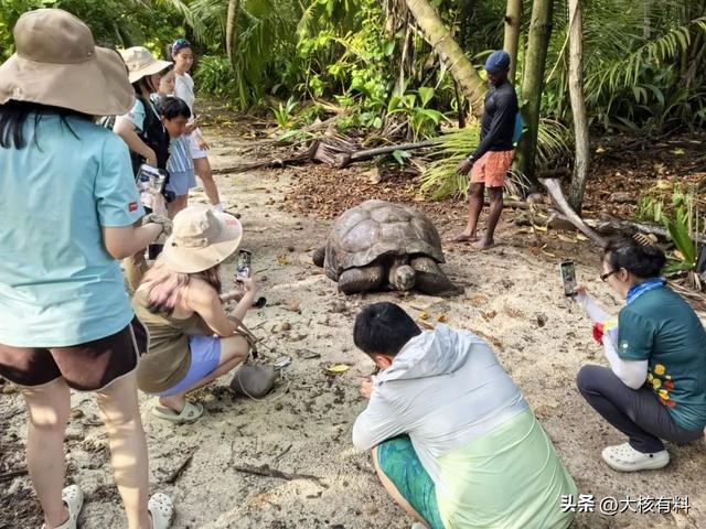 非洲富裕“岛国”：重视女子婚前贞操，普通酒店住一晚100多美元