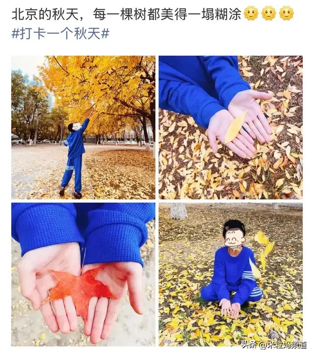 等了一年，帝都最好的时候终于到了！推荐几条赏秋路线