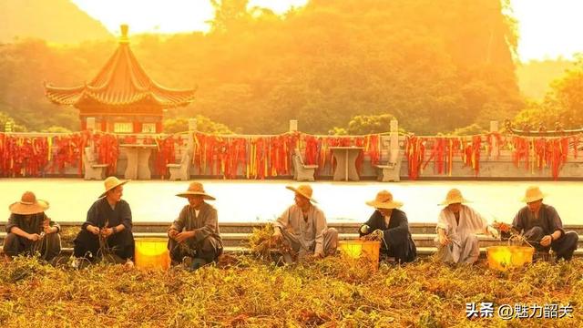 游寺指南 | 在广东韶关东华禅寺体验别样生活