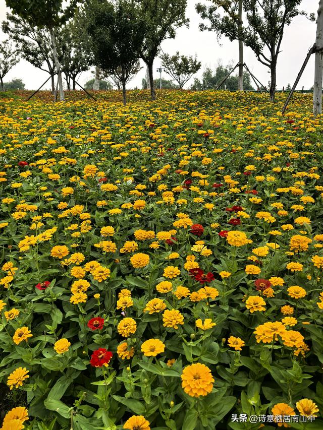 东西湖大堤绿道阻碍重重，现如何从江岸骑行到东西区大堤绿道？