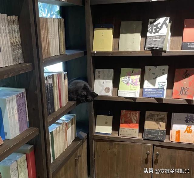 8月，「渴望自由，像治不好的病」