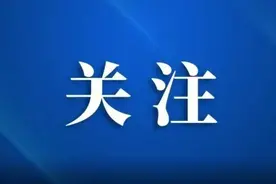 关于2025年城乡居民基本养老保险参保缴费的通知图片