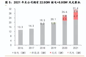 两个能持有三十年的股票，中国广核和中国核电谁更合适养老图片