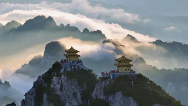 又有明星推荐洛阳！快，一起感受千年古都的“活色生香”