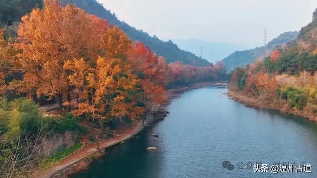 收好这份温州《红枫古道地图》，挑个好天气出门走走！