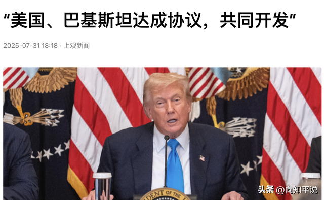 中印俄巴有联手应对美关税的可能吗