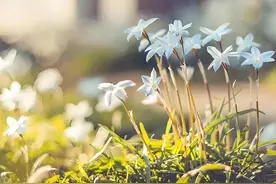 告诉你一个医生不会说的止痒妙招图片