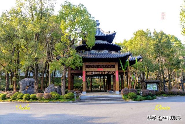 影记 | 衢州根雕艺术之都——根宫佛国(上)